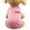 Pink, variant on iOPQO Pet Sweater pet sweater Two-legged warm puppy dog fight Teddy wool cat sweater pet clothes Pink M