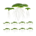 thumbnail image 3 of Minkissy 1Set Fake Green Duckweed Aquarium Floating Plant Lightweight Plastic Decoration, 3 of 7