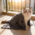 thumbnail image 4 of huayou Waterproof Pet Food Mat, Non-Slip Durable Paw Print Bone Design Easy to Wipe Clean for Dogs and Cats, 4 of 6