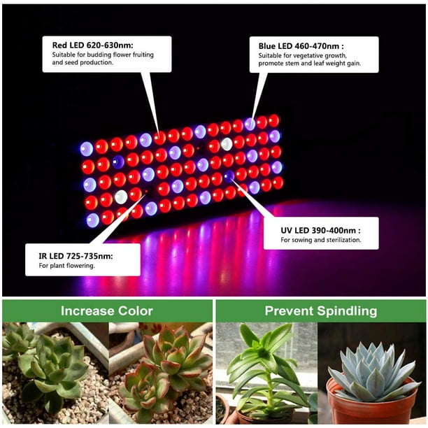 LED Lampes pour Plantes D'intérieur Growing Lampe, Full Spectrum Panel avec  Lampe IR Croître UV Rouge Blanc LED Bleu pour Les Plantes, Les Plantes
