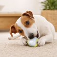 thumbnail image 4 of Interactive Dog Ball 2.5 Inch Glow in The Dark Dog Ball Paw Print Dog Toys Non Toxic Pet Chew Ball for Small Medium Dogs Oral Play and Indoor Outdoor Activity, 1 Pack, 4 of 6