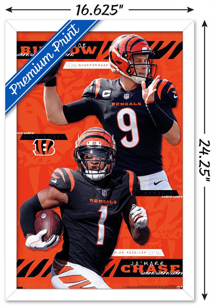 NFL Cincinnati Bengals - Logo 21 Poster