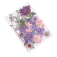 thumbnail image 1 of segolike 10Pcs Multiple Mix Natural Pressed Dried Flowers Leaves DIY Arts Crafts A A, 1 of 9