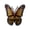 Type D, variant on Yihuala Wood Butterfly Crystal Display Shelf Butterfly Floating Shelves with Crystal Accent for Jewelry and Small Item