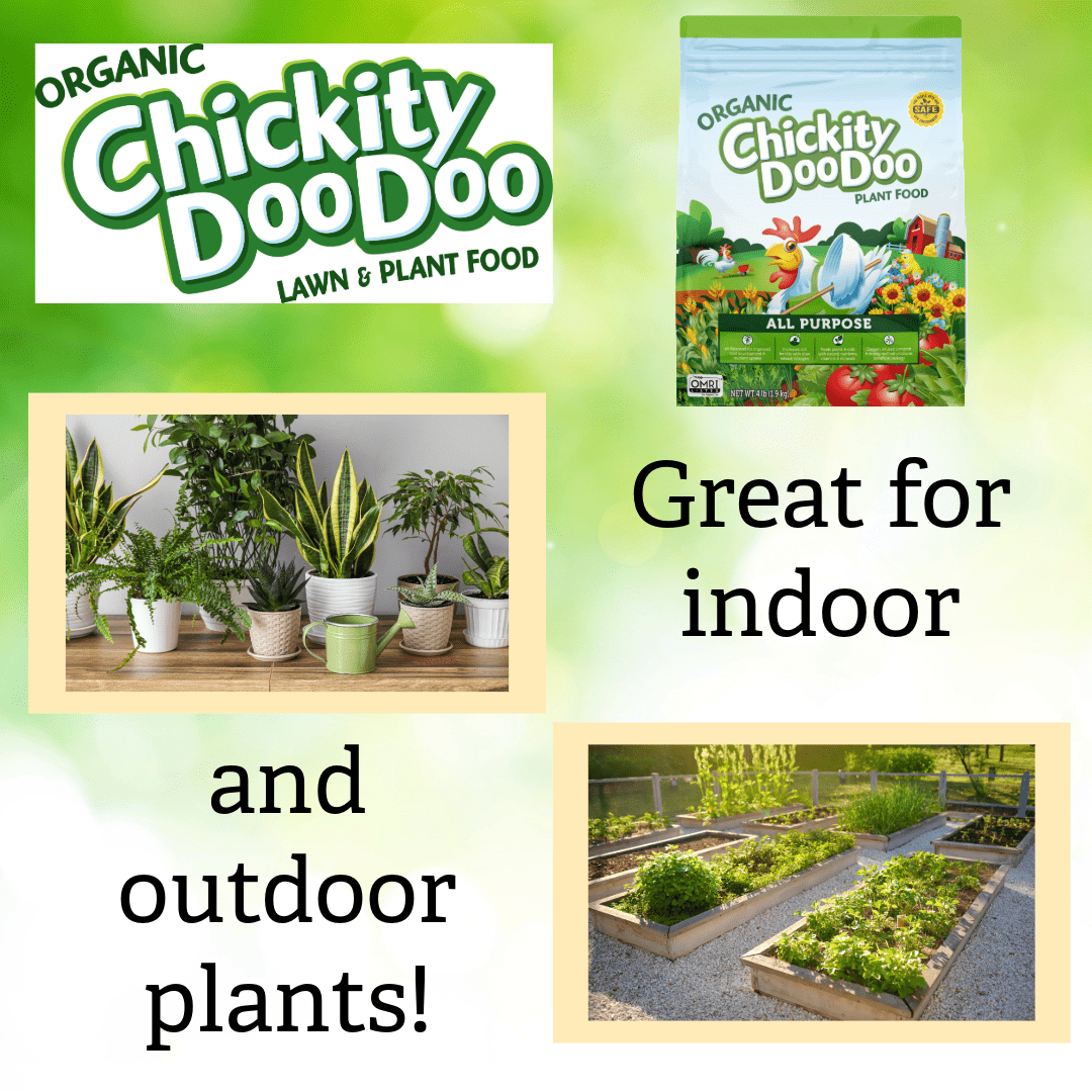 (2 pack) Chickity Doo Doo All Purpose Plant Food Fertilizer, 2-4-3, 4 Pounds, 360 Square feet Coverage