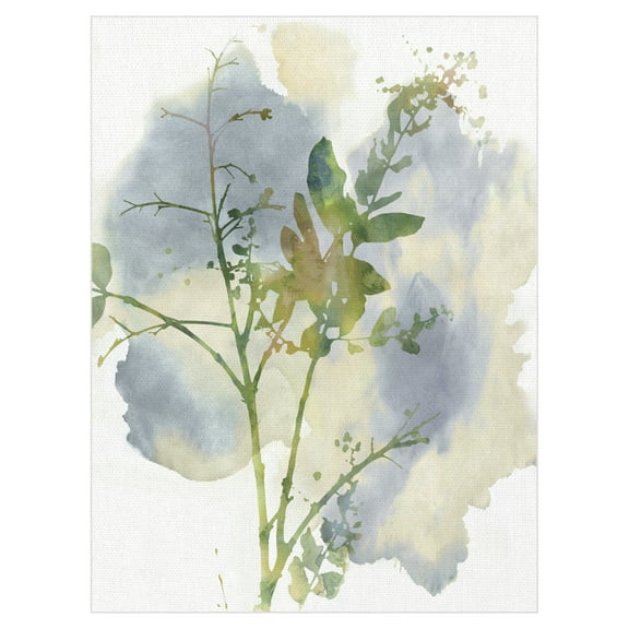 Wildflower Harmony by Tania Bello Abstract Floral Canvas Art