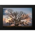 thumbnail image 2 of Perry, Rachel 14x11 Black Modern Framed Museum Art Print Titled - Grand Oak Tree II, 2 of 5
