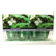 Bath & Body Works Rainforest Gardenia Wallflowers Home Fragrance Refills, 0.8. fl oz each - 4 Refills