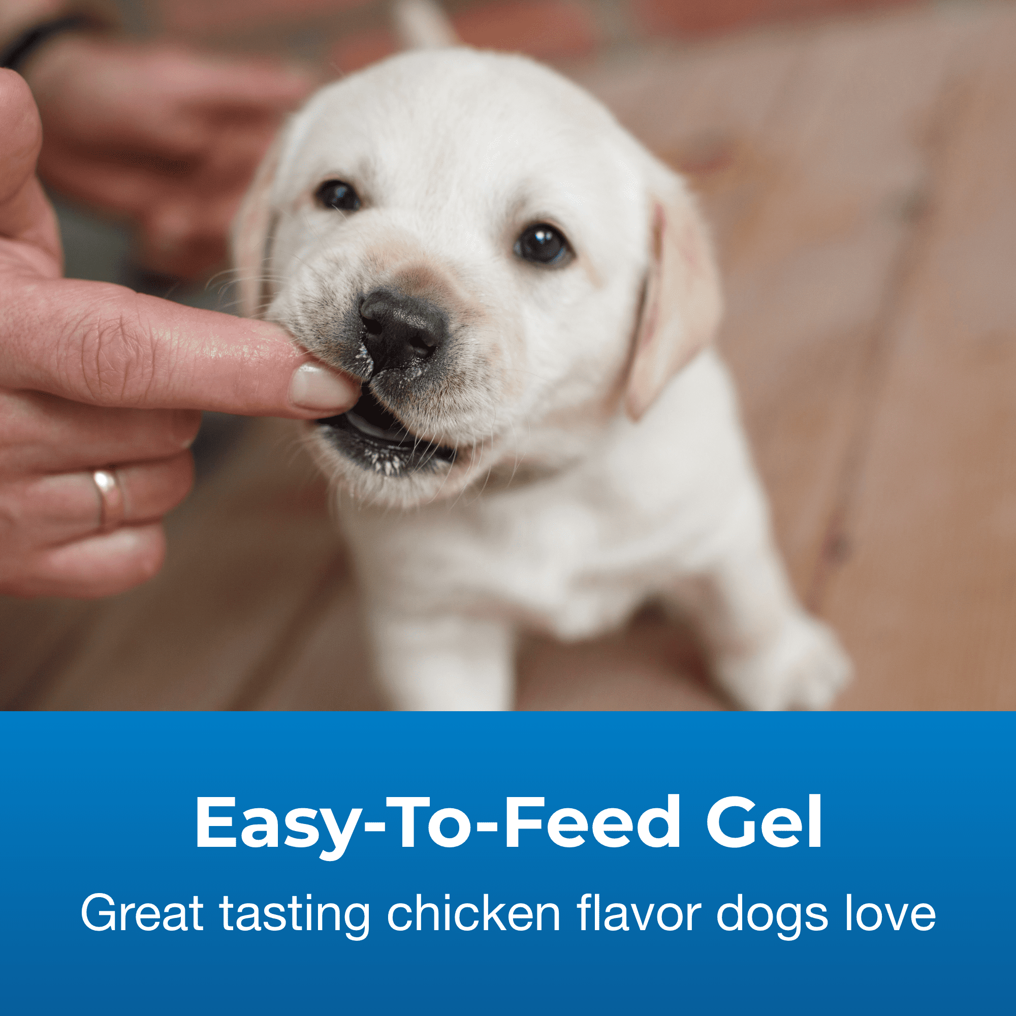 (6 pack) Pet-Ag High Calorie Gel Supplement for Dogs, 5 oz