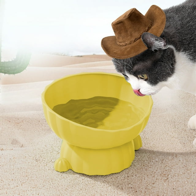 Uklsqma Multi-Color Plastic Elevated Cat Bowl | Tilted Rim Neck-Relief Design | Non-Slip Stable Base | Large Diameter Pet Food and Water Dish | Easy to Clean Durable Puppy Feeding Bowl