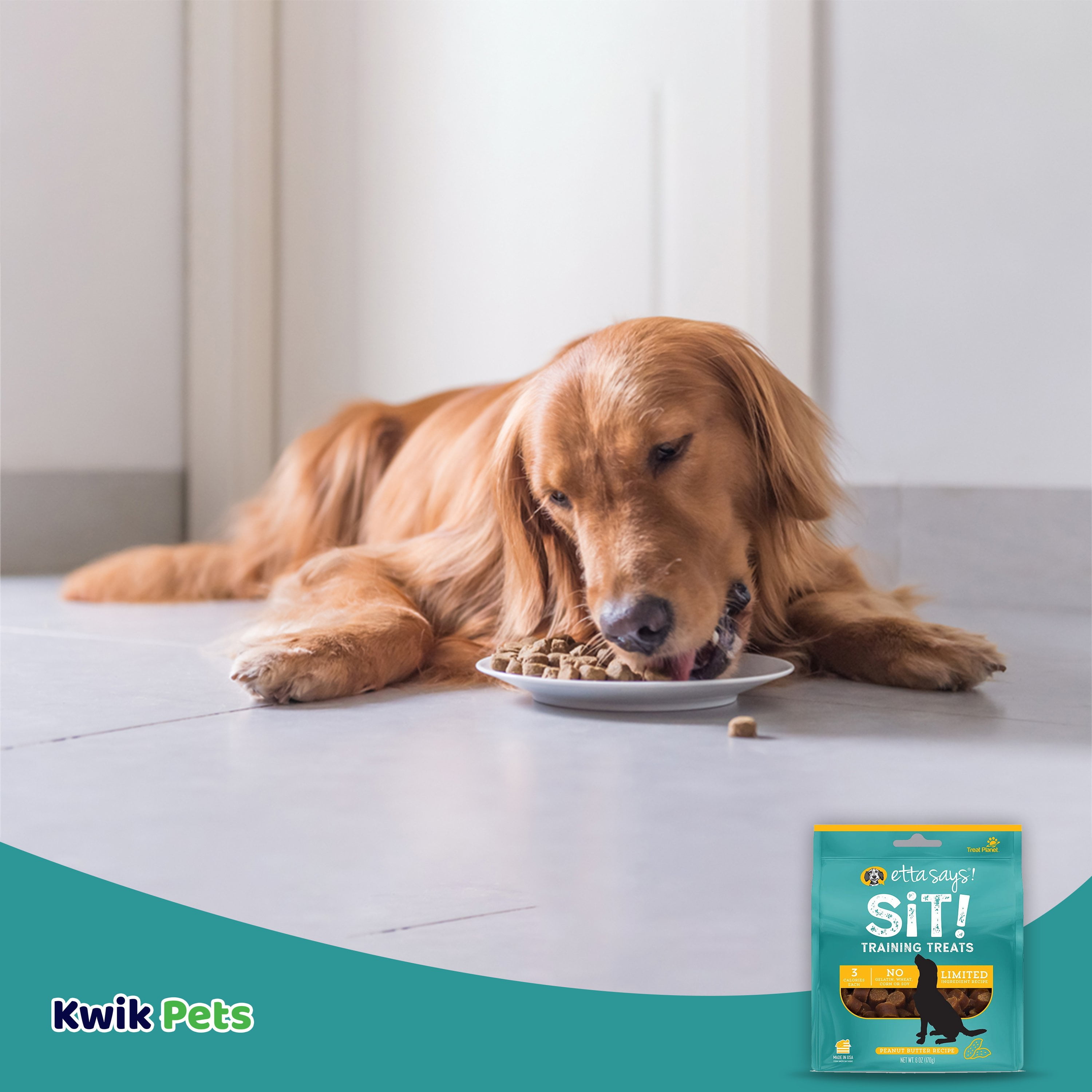 Etta Says! Sit! Dog Training Treats Peanut Butter Recipe 6 oz