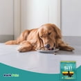 thumbnail image 5 of Etta Says! Sit! Dog Training Treats Peanut Butter Recipe 6 oz, 5 of 5