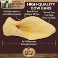 thumbnail image 5 of Brutus & Barnaby Premium Cow Ears For Dogs 100% Grass-Fed Beef Natural Dog Chews, Large 12-Pack, 5 of 9