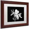 thumbnail image 2 of Trademark Fine Art 'Magnolia Flower' Canvas Art by Pierre Leclerc, White Matte, Wood Frame, 2 of 4