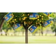 thumbnail image 5 of Lipton Hard Iced Tea Lemon, 12 pack, 12 fl oz Cans, 5% ABV, Naturally Caffeinated, 5 of 6