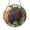 Acrylic 3.5 Inch, variant on Vineyard Grapes Stained Glass Suncatcher for Window Decor, Cozy Kitchen Gift Idea