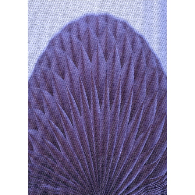 Ahgly Company Tapis Rectangulaire d'Intérieur Lavable en Machine Violet Transitionnel, 8 Pieds x 10 Pieds