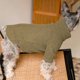 thumbnail image 4 of Jersey para perro Fitwarm, tejido térmico, cuello alto, XXL, verde salvia, 4 of 8