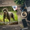thumbnail image 5 of 2025 2026 Pitbull Calendar - Dog Breed Monthly Wall Calendar - American Pitbulls Calendar - Made In USA - 12 x 24 Open - Academic Teacher's Planner Calendar for Organizing & Planning - Made in USA, 5 of 10