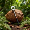 thumbnail image 4 of Stainless Steel Coconut Opener & Meat Scoop – Effortless Tool for Opening Fresh Coconuts & Scooping Coconut Meat, 4 of 7