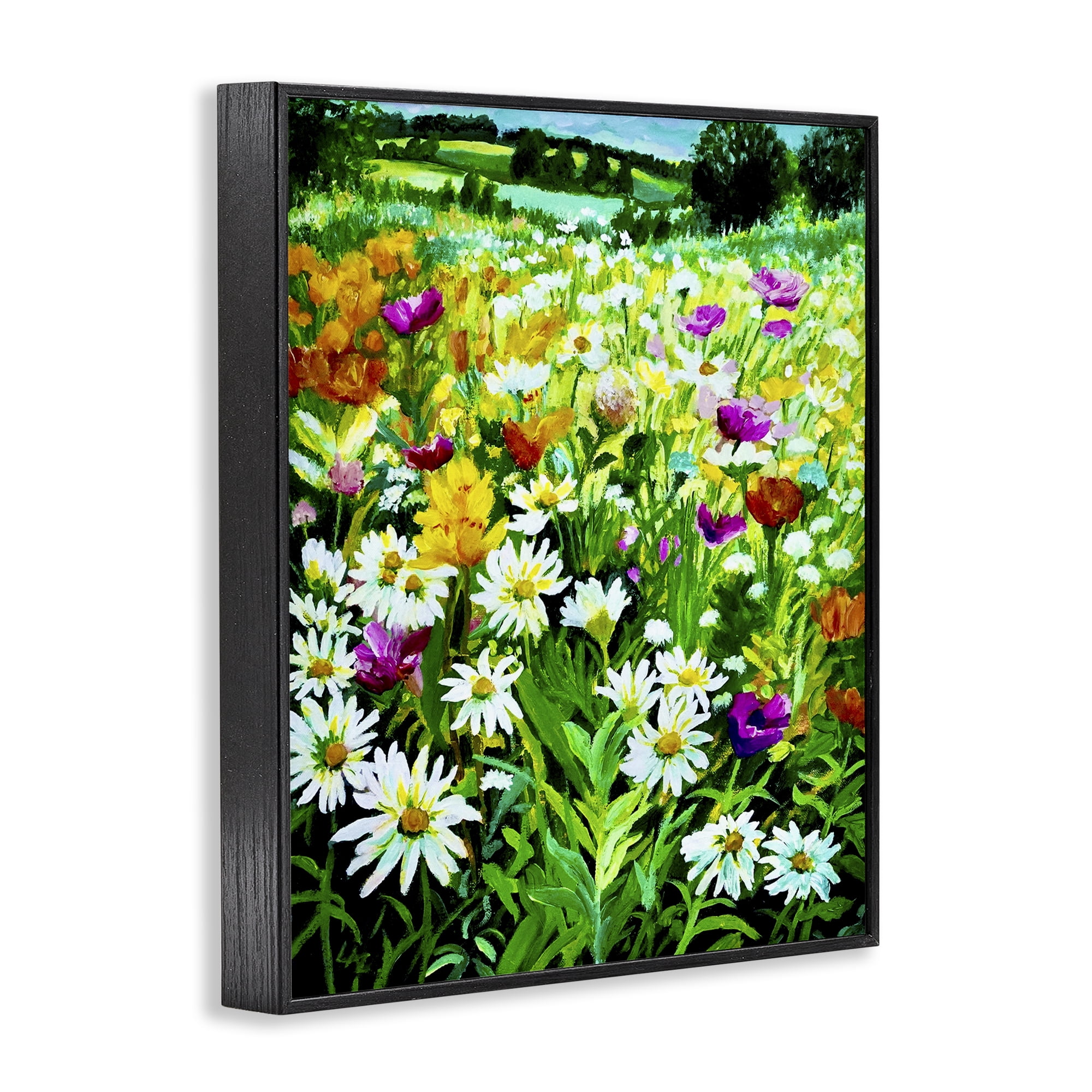 Stupell Industries Hillside Fusion Meadow Black Framed Giclee Art, design by Lee Ann Zirbes