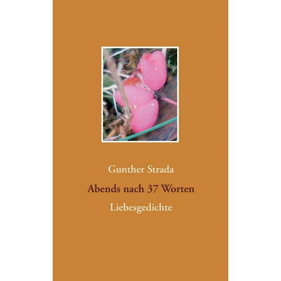 Abends nach 37 Worten: Liebesgedichte, (Paperback)