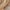 Khaki, variant on Utoimkio Women's Off Shoulder Fall Sweater Pullover Square Collar Long Sleeve Cable Knitted Casual Loose Lightweight Sweaters for Women