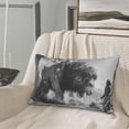 thumbnail image 5 of Pofeuu Heroic Lion Encounter Print Polyester Microfiber Plush Pillowcases, Super Soft and Cozy Pillow Case Covers with Envelop Closure（Pillow core not included）-14"x20", 5 of 6