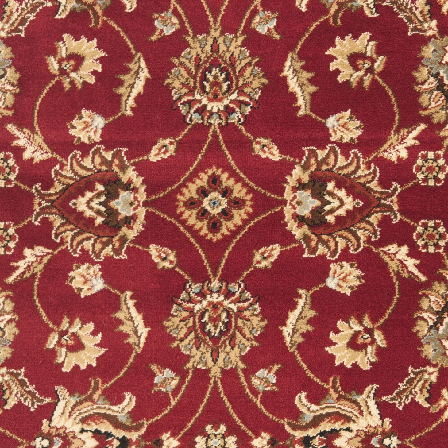 SAFAVIEH Lyndhurst Miah Floral Border Area Rug, Red/Ivory, 3'3" x 5'3"
