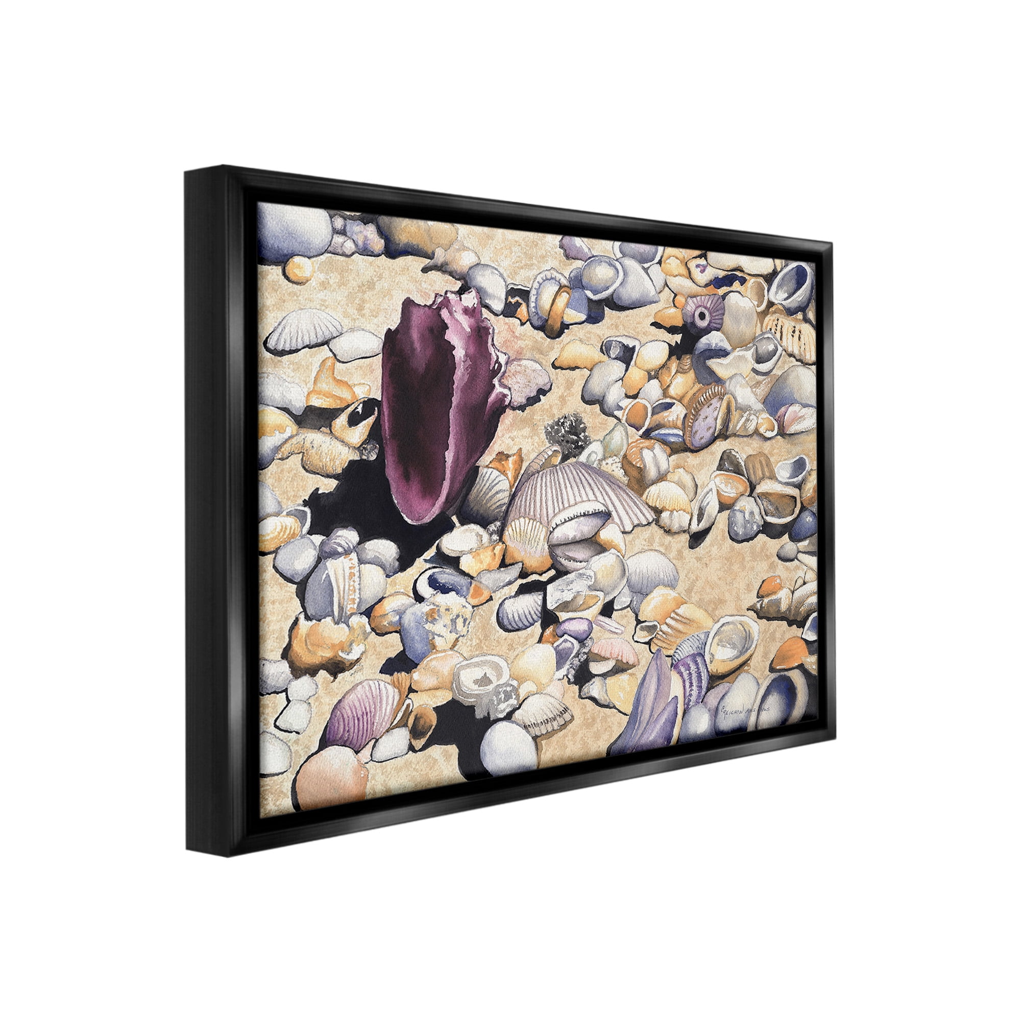 Stupell Industries Various Seashells on Coast Landscape Painting Black Floater Framed Canvas Art Print Wall Art, 21 x 17