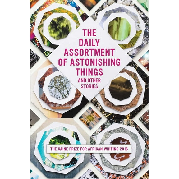 The Daily Assortment of Astonishing Things and Other Stories : The Caine Prize for African Writing 2016 (Paperback)
