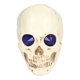 thumbnail image 5 of Adornos de calavera, adornos de calavera, adornos de calavera de diamantes de imitación de calavera de Halloween ligeros y vívidos, rendimiento de alta gama, 5 of 8