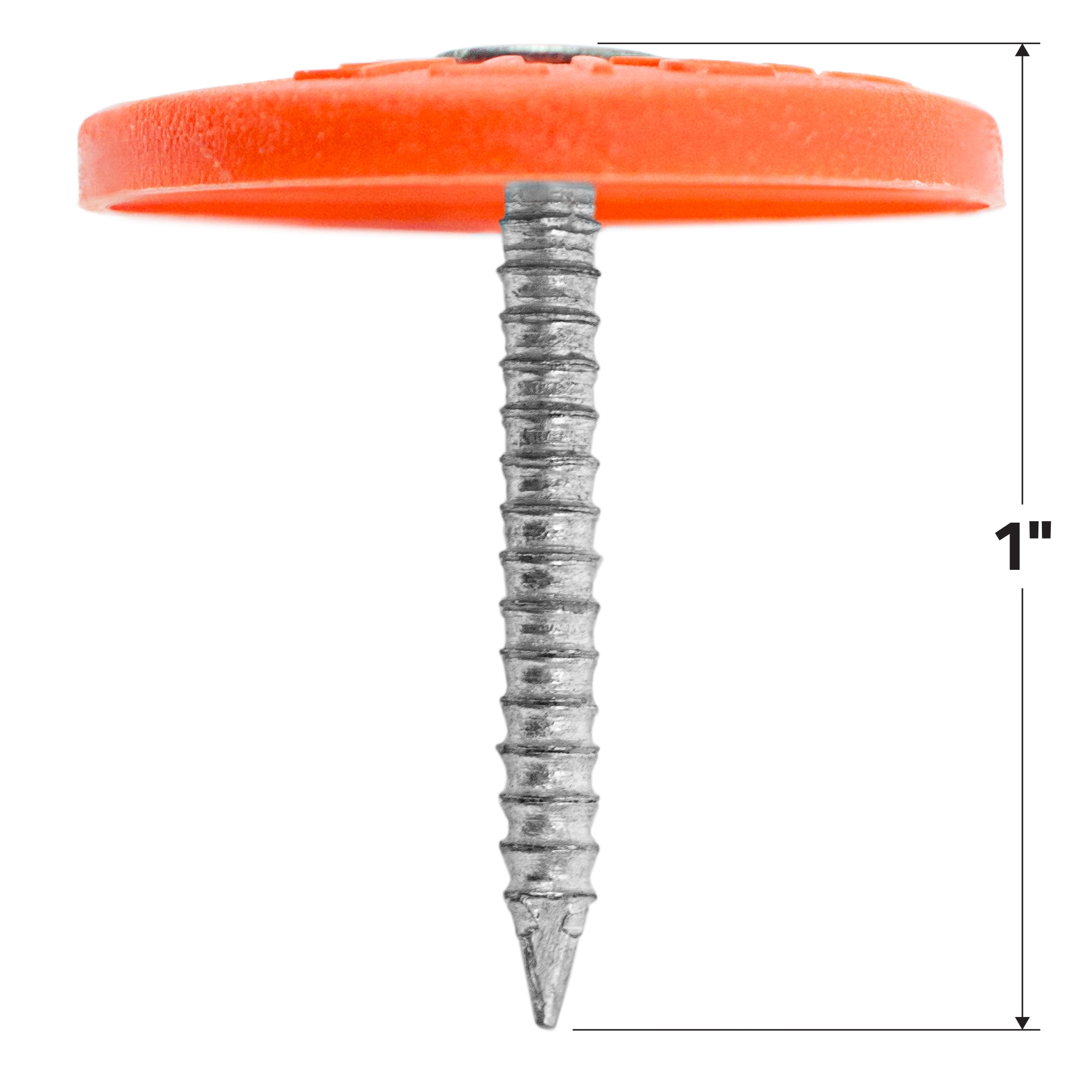 Grip Rite 1 in 12 Gauge Electro Galvanized Plastic Cap Nail
