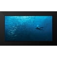 thumbnail image 2 of Yevtushyk, Dmitriy 24x14 Black Modern Framed Museum Art Print Titled - In A Fishschool Of Barracudas., 2 of 5