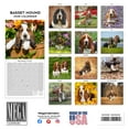thumbnail image 3 of 2025 2026 Basset Hound Calendar - Dog Breed Monthly Wall Calendar - 12 x 24 Open - Thick No-Bleed Paper - Giftable - Academic Teacher's Planner Calendar Organizing & Planning - Made in USA, 3 of 10