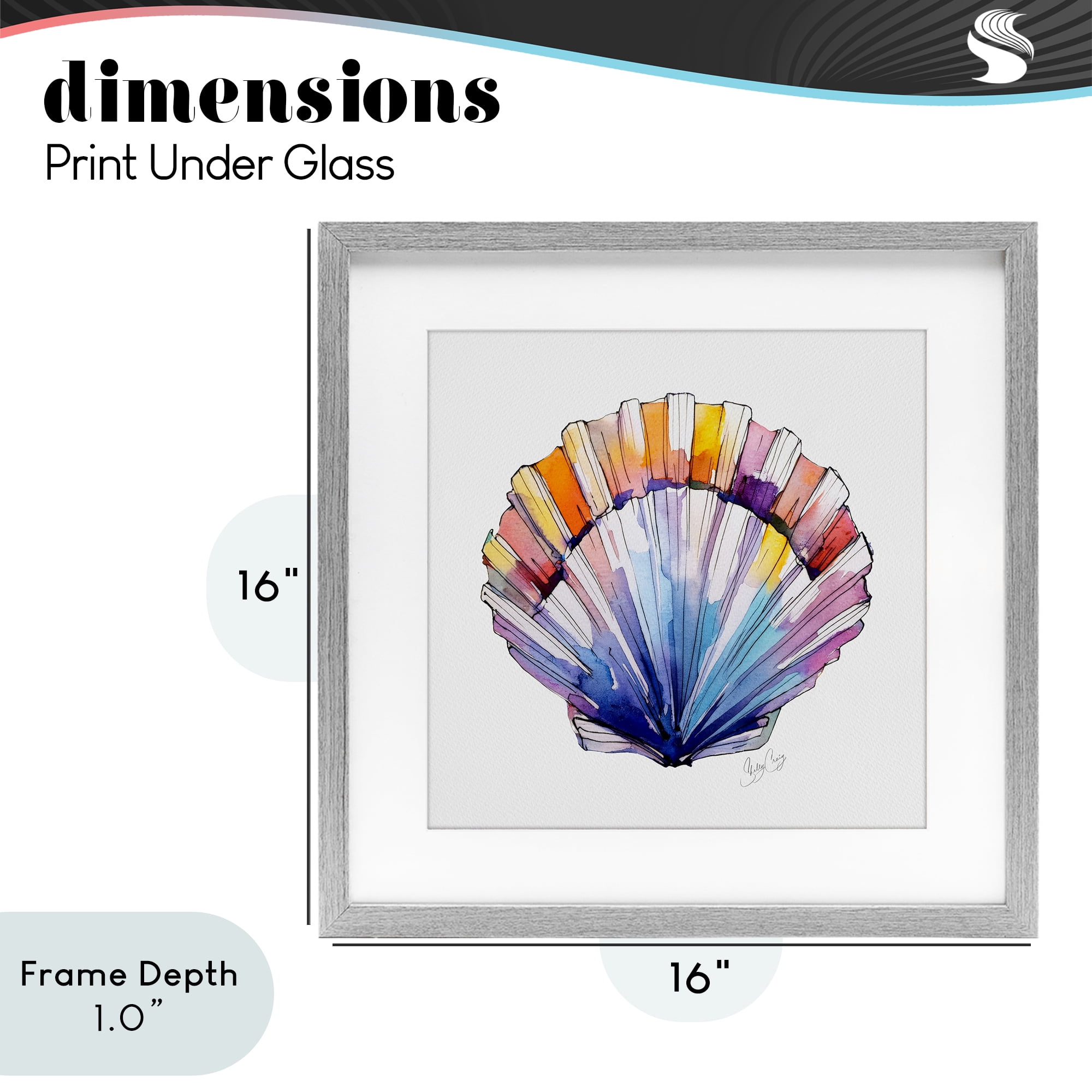 Stupell Industries Coastal Scallop Watercolor Gray Framed Print Under Glass, design by Shelly Craig