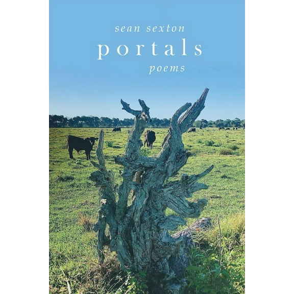Portals : Poems (Paperback)
