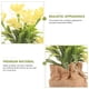 thumbnail image 3 of unbranded Flor Artificial Phalaenopsis De Plástico Con Maceta Para Y Regalo En Eventos, 3 of 6