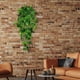 thumbnail image 4 of Adorno de pared verde artificial, adorno de pared con flores de plástico, decoración de pared verde artificial, arte de pared con plantas de hojas grandes, decoración fácil para el hogar,, 4 of 9