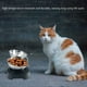 thumbnail image 5 of Pet Stand Bowl 0-15 Grados Ángulo Ajustable Soporte De Acero Inoxidable Y Soporte De Plástico Guardurnaity PT001523-02, 5 of 6