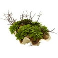 thumbnail image 1 of Nearly Natural 4851 Succulent Garden w/Seashell, 1 of 2