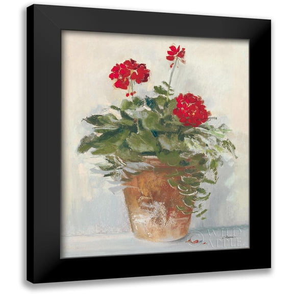 Rowan, Carol 12x14 Black Modern Framed Museum Art Print Titled - Potted Geraniums II Light