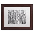 thumbnail image 2 of Trademark Fine Art "Winter Aspens" Canvas Art by Roderick Stevens White Mat, Wood Frame, 2 of 5