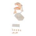 thumbnail image 1 of Cuerpo de figura de acción, Poses personalizables, PVC duradero móvil, maniquí de dibujo ampliamente utilizado para oficina familiar, Color de piel para hombre, 1 of 5