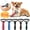 Black_M, variant on Pet Pro Grooming Tool, Dematting Comb for Dogs and Cats, Deshedding Dog Brush, Undercoat Rake for Dogs, Removes Tangles Knots and Loose Fur, Grooming Tool for Thick Coats