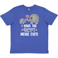 thumbnail image 3 of Inktastic Best Meme Ever Grandchild Youth T-Shirt, 3 of 5