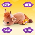 thumbnail image 2 of Hug a Lumps Holly the Highland Cow by ZURU - Medium 3.3lbs Cuddly Weighted Plush Toy for All Ages, 2 of 9