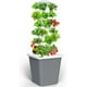 thumbnail image 1 of Sistema de cultivo hidropónico LyCereal, torre interior de 30 plantas, 1 of 6