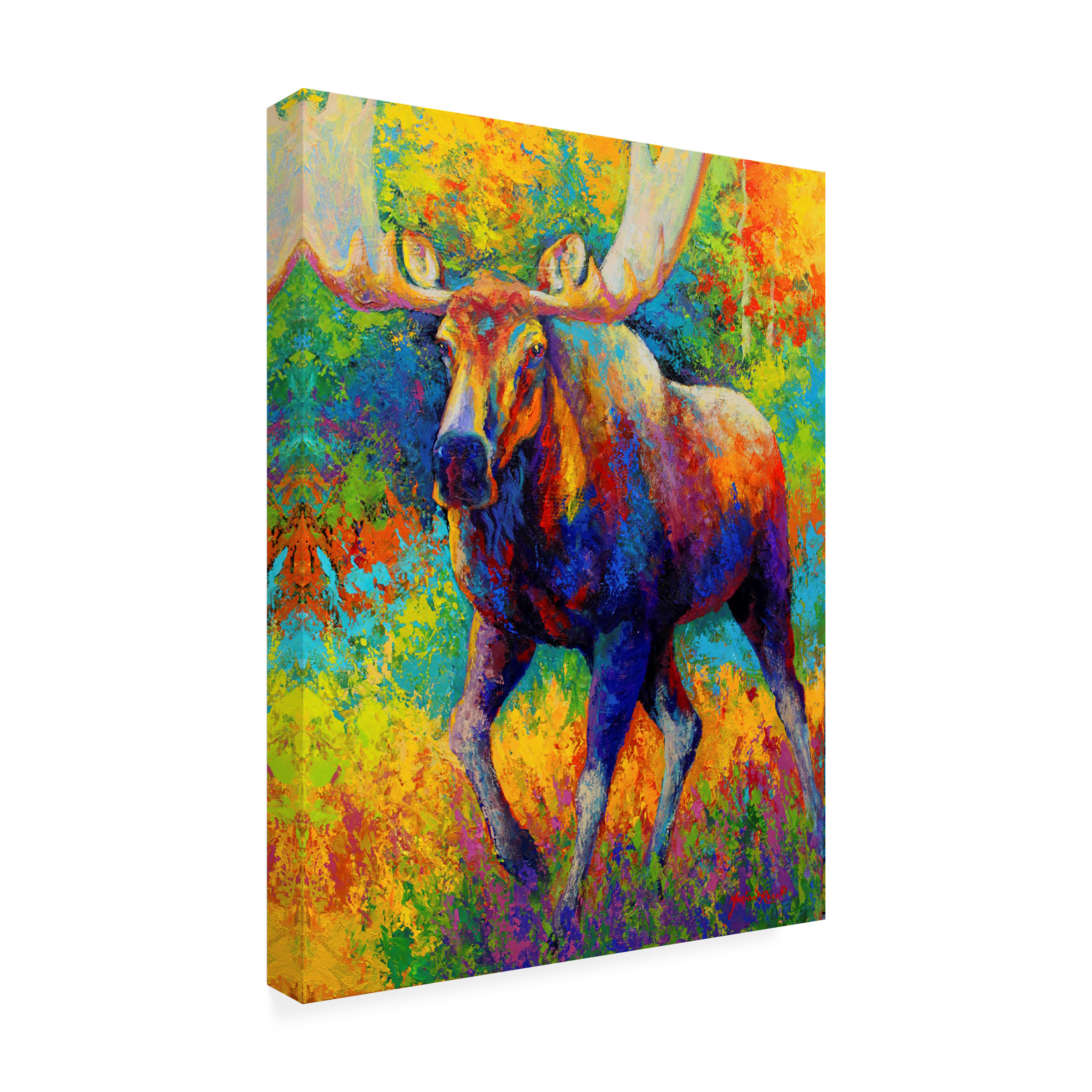 Marion Rose 'Bull Moose' Canvas Art