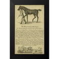 thumbnail image 2 of Unknown 16x24 Black Modern Framed Museum Art Print Titled - Horse Portraiture VIII, 2 of 5